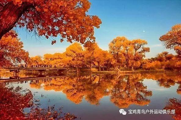 为什么群里的人把我设置了停止说话是不喜欢我在群里说话，还是怕我说错话呢麻烦呢我不懂呢大家帮帮我吧？游戏画面